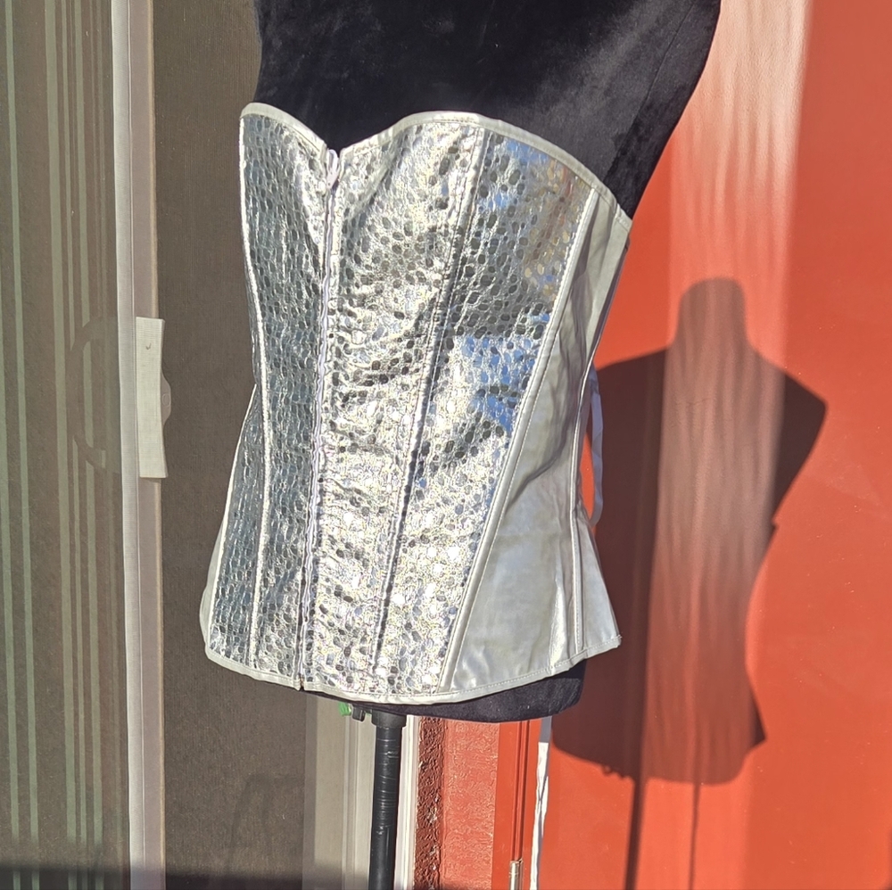 Plus Size  Silver Corset